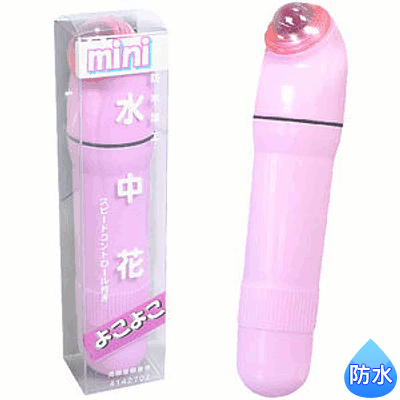 ֤褳褳mini(ԥ)   ڵꥻ