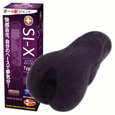 シックス　タイプアール