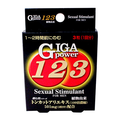 ギガパワー123　3粒