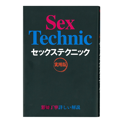 セックステクニック　実用版