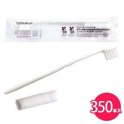 小ヘッド 歯ブラシ 歯磨きチューブ付き 350本入り