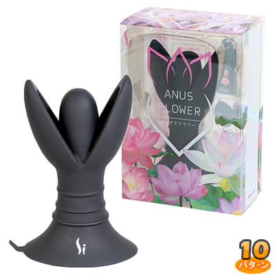 ＡＮＵＳ　ＦＬＯＷＥＲ　（エイナスフラワー）