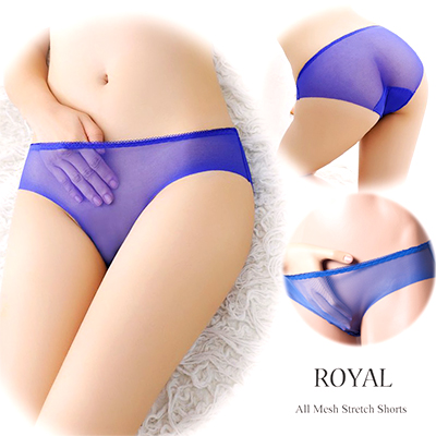 透ける・伸びる・薄い！フルバックショーツ　ロイヤル