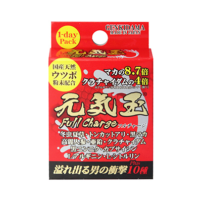 元気玉フルチャージ