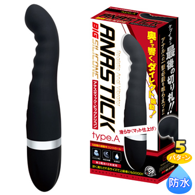 アナスティック　ビッグシリコン【TYPE A】