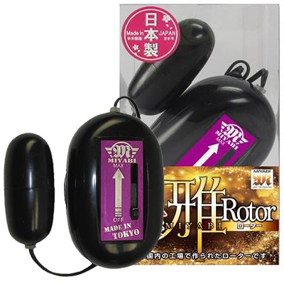 強震雅ローター ブラック
