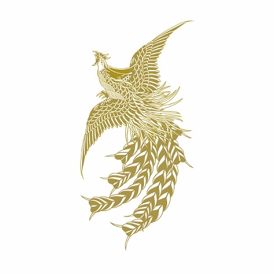 TATTOO（タトゥ） Regulare 216
