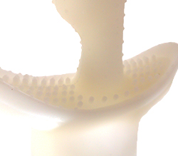 紼դɷ㤹ĥ֥ĥ֤ʤ