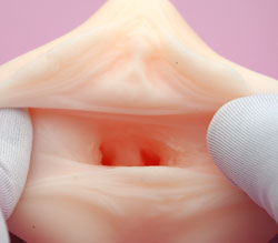 広げてみました。<br>超リアルな造形が写真で伝わりますでしょうか？