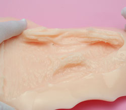 内部構造です。いかがですか？<br>肉厚なヒダ・イボもはやパーフェクト！