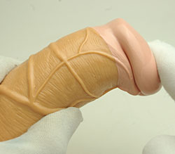 ŷŷκħ<br>Ź¤ˤüϤ䥽եȡ