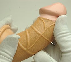 ϹŤȿꡢˤ餷ĥƤޤ