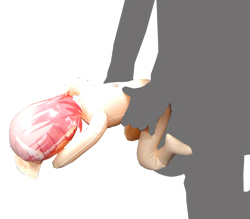 ご使用イメージです。