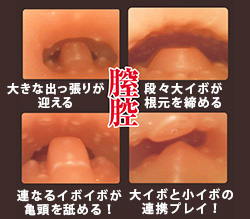肉厚なボディで本物のような挿入感が楽しめるヴァギナです。