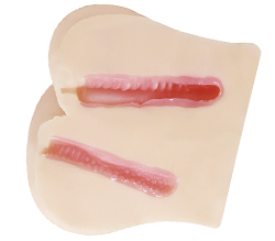 肉厚で両穴ともに赤粘膜の内部構造です。