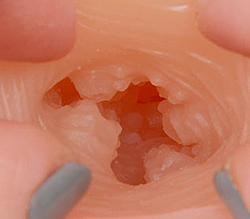 桼͵ι⤤紷򥢥åץǡȡ