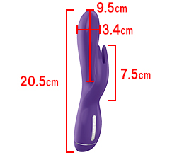 本体サイズです。