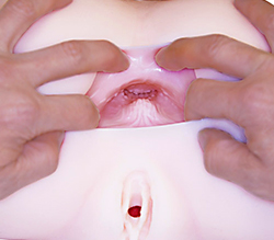 アナルくぱぁ。狭い入口がキツく締まる括約筋を再現。