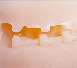 膣内は大きなイボとコリコリっとした刺激！