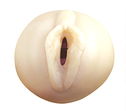 Ͻμɺ魯äȤ괶Τ륪ʥۡǤ