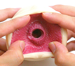 ۡ뼫Τեȥס郎ꥢǤ