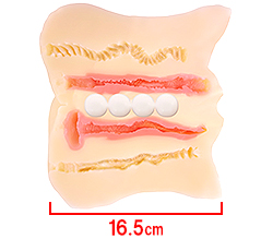 ٤4ʤϣع¤åפ4Ϣɷ̤ܡ