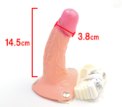 本体サイズです。