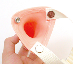 内部は空洞になっているので、男性器を挿入することが可能。