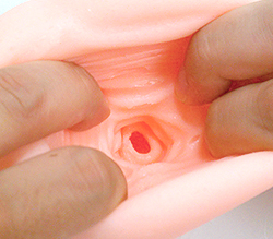 ˤǽʻҵܸåץФƤ͢