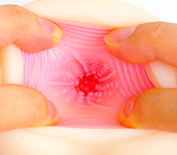 奥には無数のツブツブイボがゴリゴリと刺激！