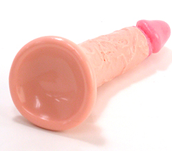 大きめの吸盤で、強力固定！