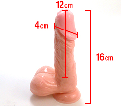 本体サイズです。