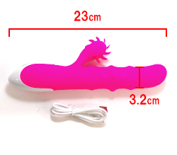 本体サイズです。