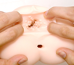 ヴァギナはイボから始まりヒダで終わります。