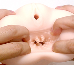 アナルはヒダから始まりイボで終わります。