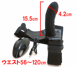 本体サイズです。