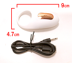 本体サイズです。