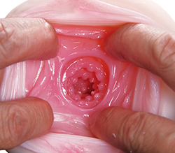 いぼひだ天国の淫穴！