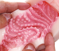 うねるようなイボヒダが包み込む！