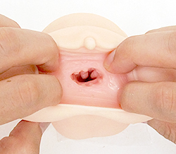 入口付近はヒダ、奥はイボといった構造です。