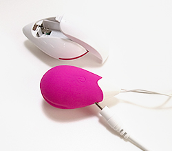 ローターは充電式♪約2時間の充電で約1時間の可能！<br>垂直に差し込みます！5mm程度浮いてささります。