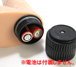 単3電池2本(別売)をセットします。
