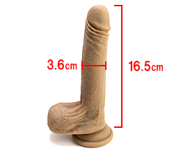 本体サイズです。