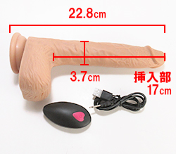 本体サイズです。