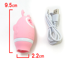 イメージ商品のカラーはピンクです。<br>ローターサイズです。
