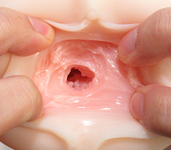 á夲ȩΤ褦ʤäȤǴ