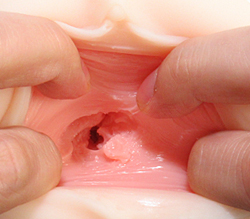 ̤äפߤĤʪɵᤷ¤Ƹ