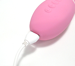 充電時間210分で約120分の連続使用。