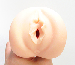 挿入口です。