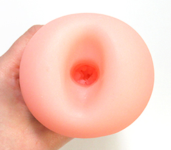 肉感たっぷりの挿入口です。